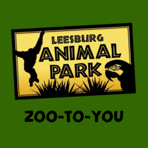 Leesburg Animal Park zoo to you